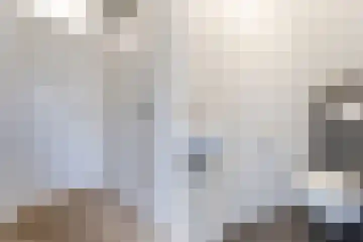 Haagwinde 2 Bladel thumbnail 17