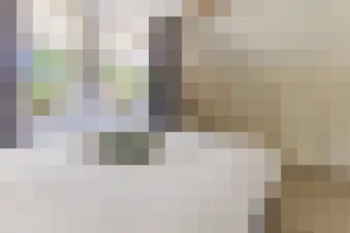 Haagwinde 2 Bladel thumbnail 19