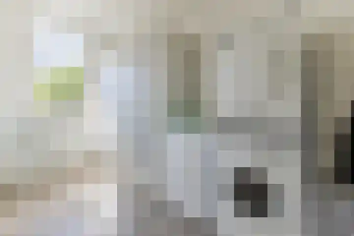 Haagwinde 2 Bladel thumbnail 22