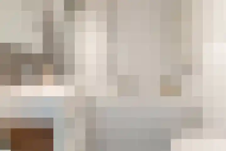 Haagwinde 2 Bladel thumbnail 23