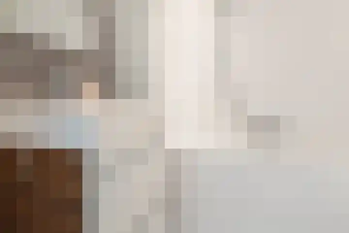 Haagwinde 2 Bladel thumbnail 27