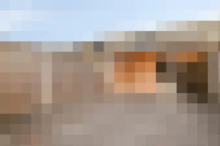 Haagwinde 2 Bladel thumbnail 4