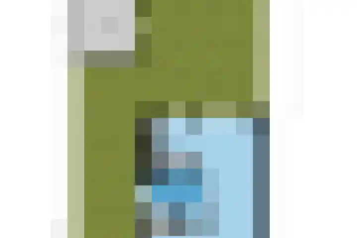 Haagwinde 2 Bladel thumbnail 49