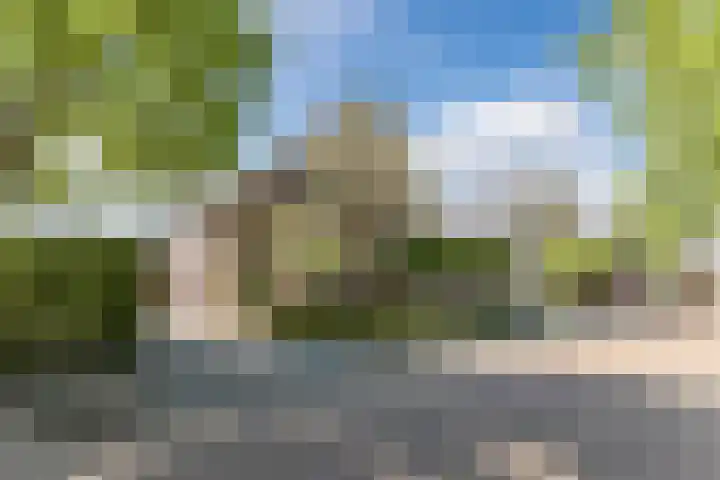 Haagwinde 2 Bladel thumbnail 6