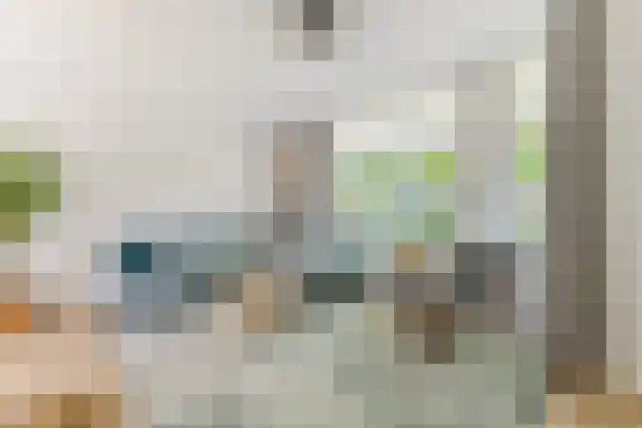 Haagwinde 2 Bladel thumbnail 9