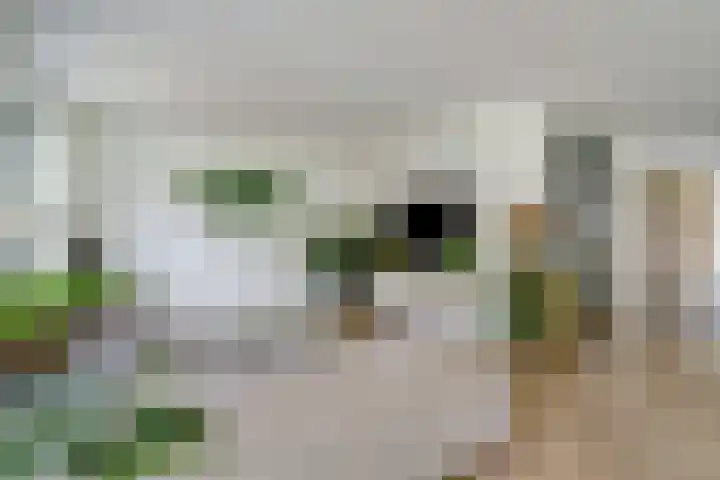 Haagwinde 22 Dongen thumbnail 11