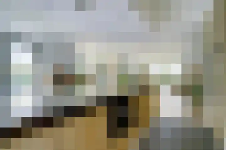 Haagwinde 22 Dongen thumbnail 17