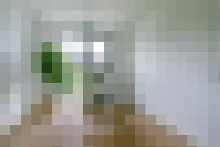 Haagwinde 22 Dongen thumbnail 19