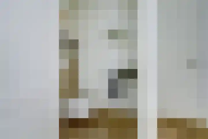 Haagwinde 22 Dongen thumbnail 20