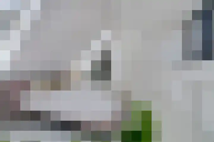 Haagwinde 22 Dongen thumbnail 23