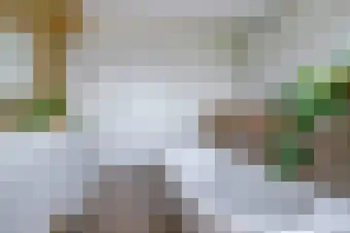 Haagwinde 22 Dongen thumbnail 35