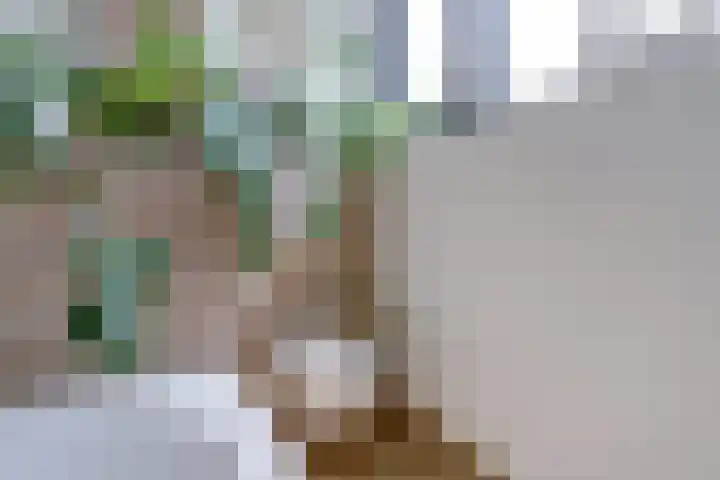 Haagwinde 22 Dongen thumbnail 36