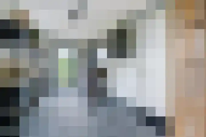 Haagwinde 22 Dongen thumbnail 37