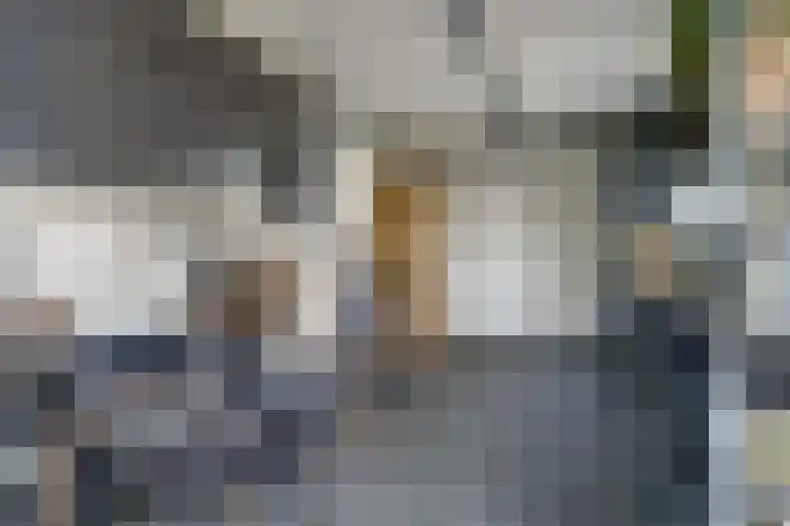 Haagwinde 22 Dongen thumbnail 38