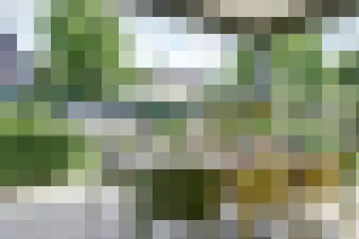 Haagwinde 22 Dongen thumbnail 43