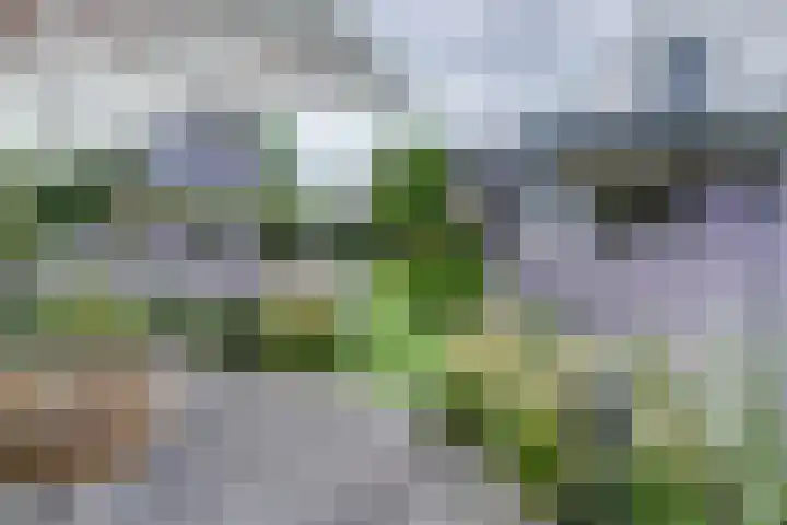 Haagwinde 22 Dongen thumbnail 44