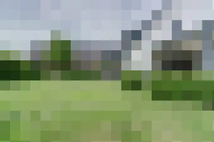 Haagwinde 22 Dongen thumbnail 46