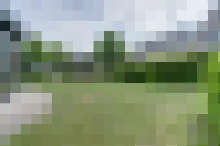 Haagwinde 22 Dongen thumbnail 48