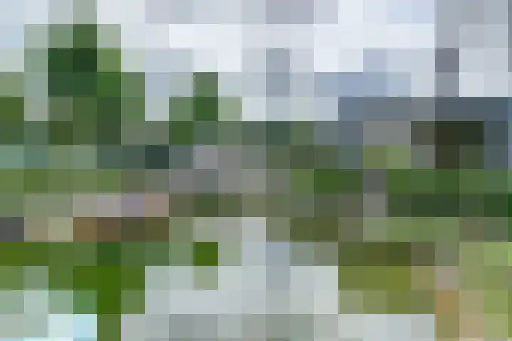 Haagwinde 22 Dongen thumbnail 50