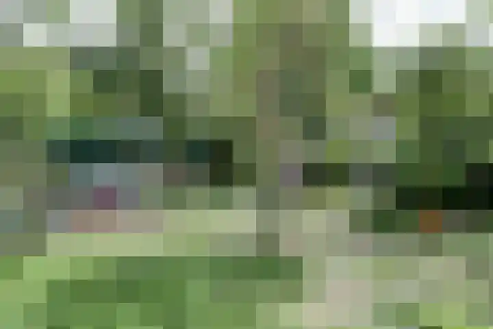 Haagwinde 22 Dongen thumbnail 51