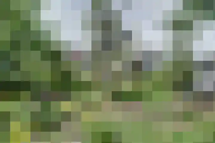Haagwinde 22 Dongen thumbnail 52