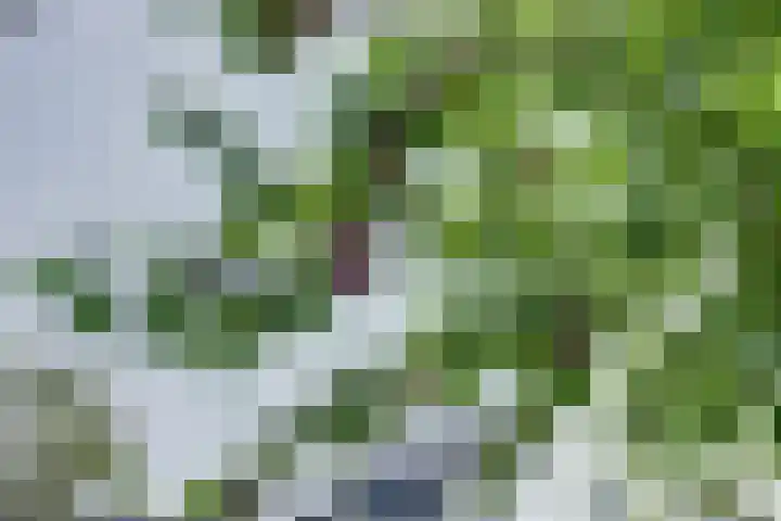 Haagwinde 22 Dongen thumbnail 53