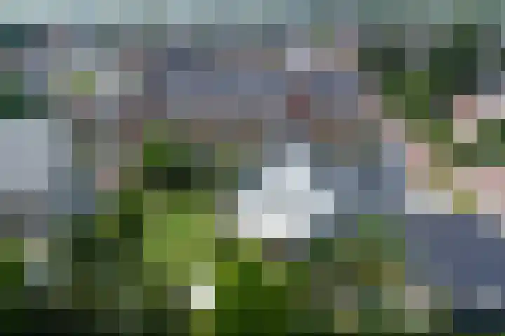 Haagwinde 22 Dongen thumbnail 54
