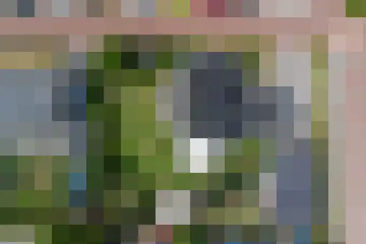Haagwinde 22 Dongen thumbnail 56