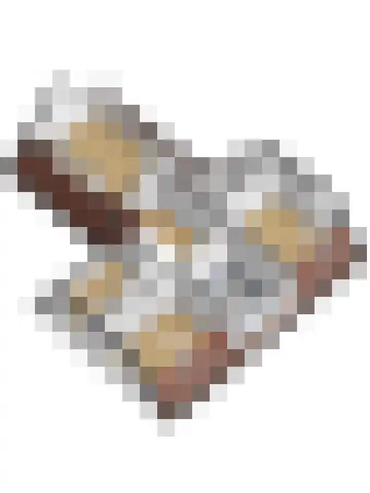 Haagwinde 22 Dongen thumbnail 59