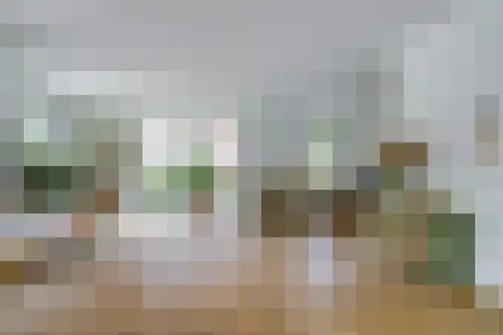 Haagwinde 22 Dongen thumbnail 7