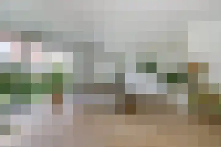 Haagwinde 22 Dongen thumbnail 8