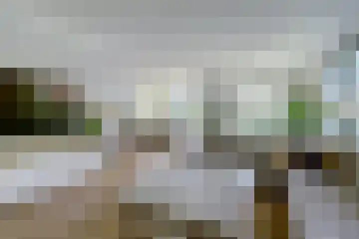 Haagwinde 22 Dongen thumbnail 9