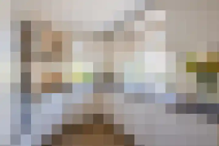 Haagwinde 22 Nieuwleusen thumbnail 15