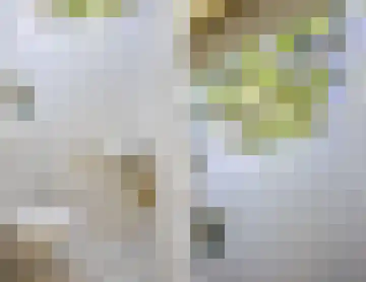 Haagwinde 22 Nieuwleusen thumbnail 18