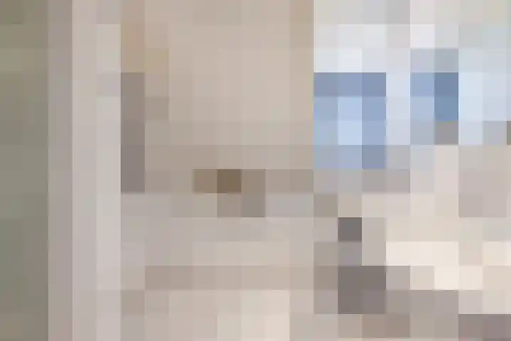 Haagwinde 22 Nieuwleusen thumbnail 22