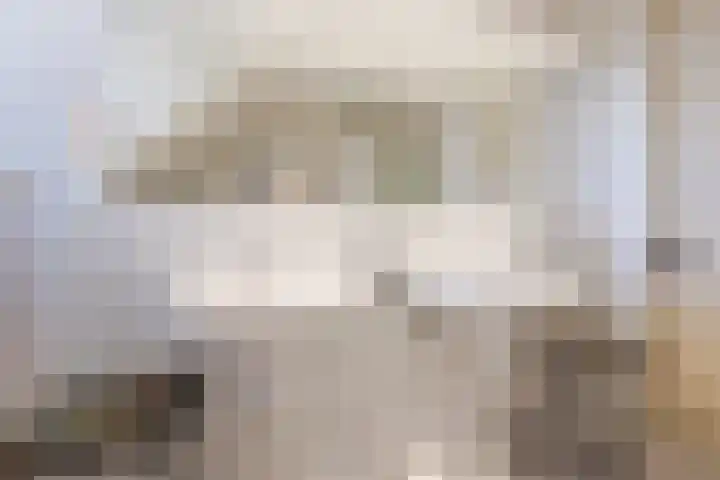 Haagwinde 22 Nieuwleusen thumbnail 23