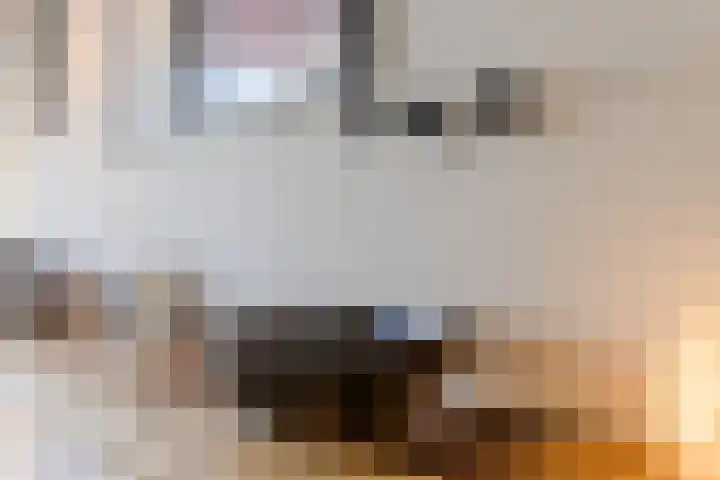 Haagwinde 22 Nieuwleusen thumbnail 31