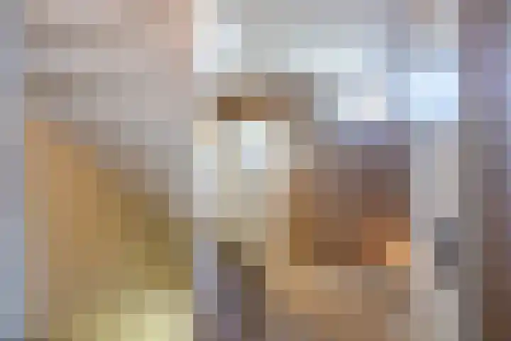 Haagwinde 22 Nieuwleusen thumbnail 32