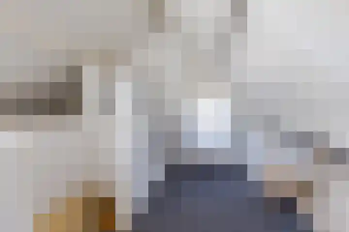 Haagwinde 22 Nieuwleusen thumbnail 35