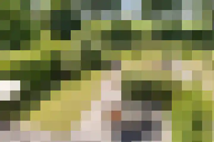Haagwinde 22 Nieuwleusen thumbnail 37