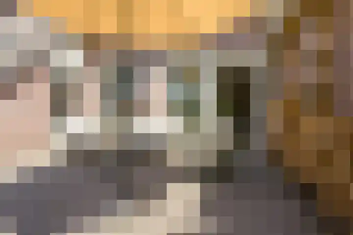 Haagwinde 22 Nieuwleusen thumbnail 38