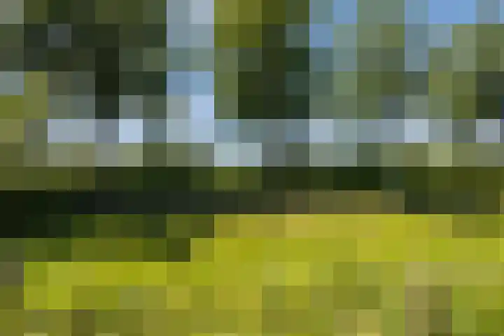 Haagwinde 22 Nieuwleusen thumbnail 4