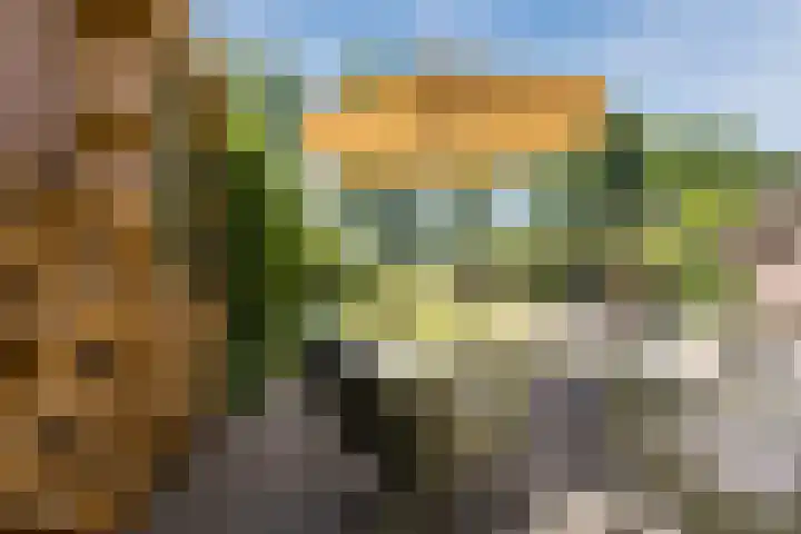 Haagwinde 22 Nieuwleusen thumbnail 40
