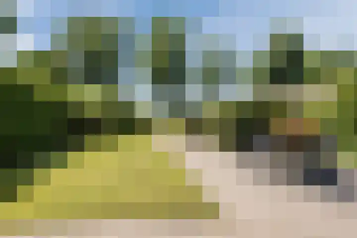 Haagwinde 22 Nieuwleusen thumbnail 41