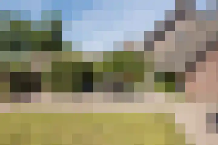 Haagwinde 22 Nieuwleusen thumbnail 42