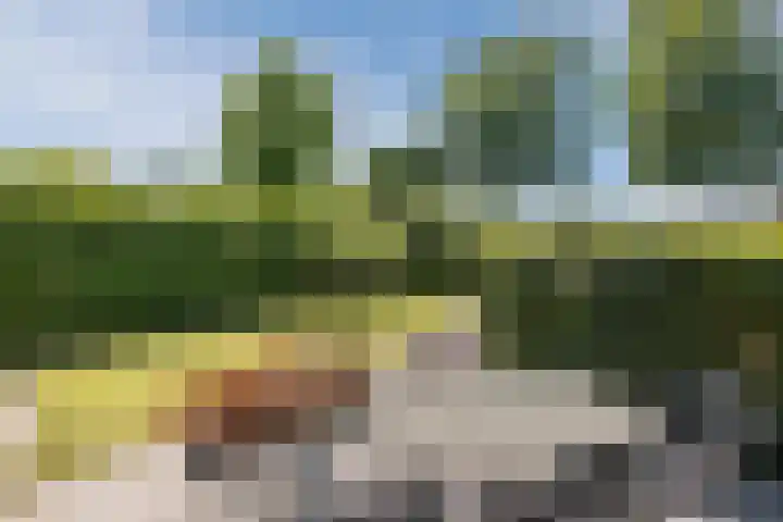 Haagwinde 22 Nieuwleusen thumbnail 43