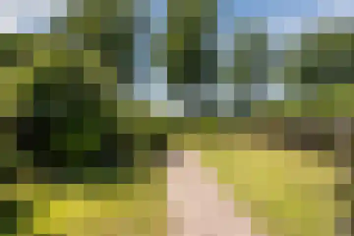 Haagwinde 22 Nieuwleusen thumbnail 44