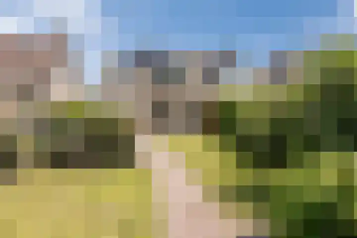 Haagwinde 22 Nieuwleusen thumbnail 45