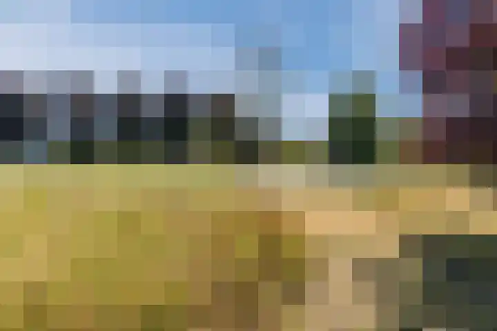 Haagwinde 22 Nieuwleusen thumbnail 48