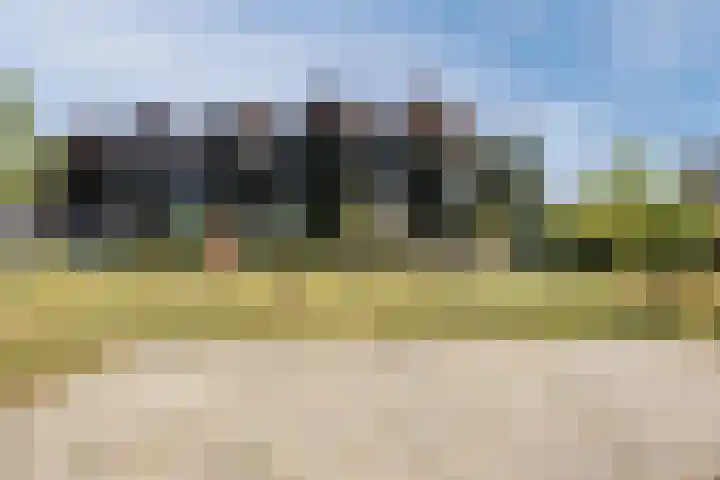 Haagwinde 22 Nieuwleusen thumbnail 49